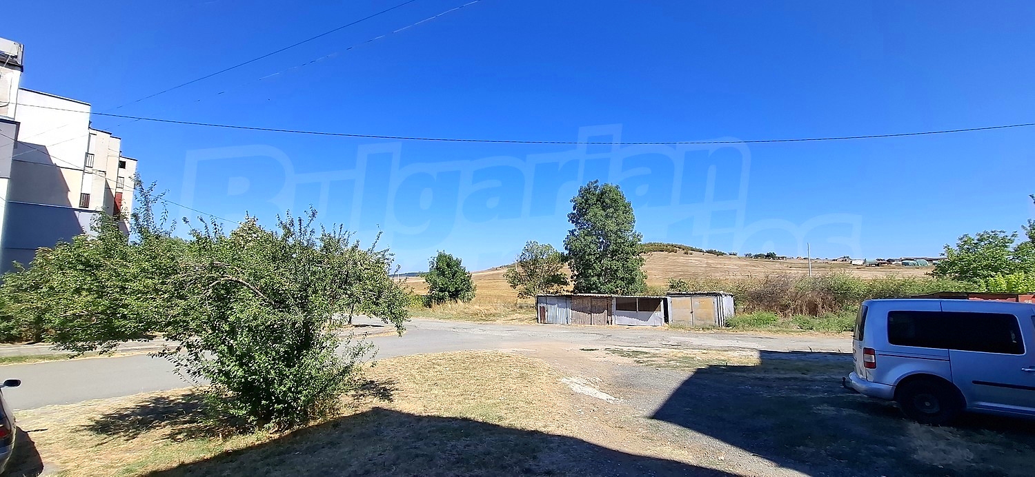 Gallery Picture 17