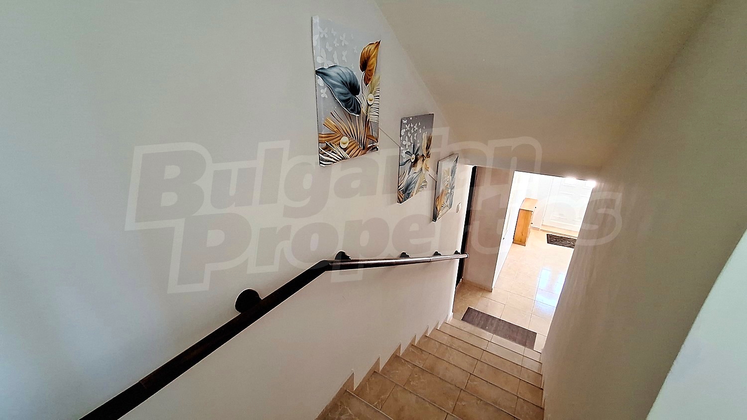 Gallery Picture 50
