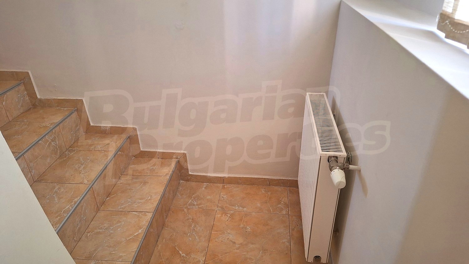 Gallery Picture 52