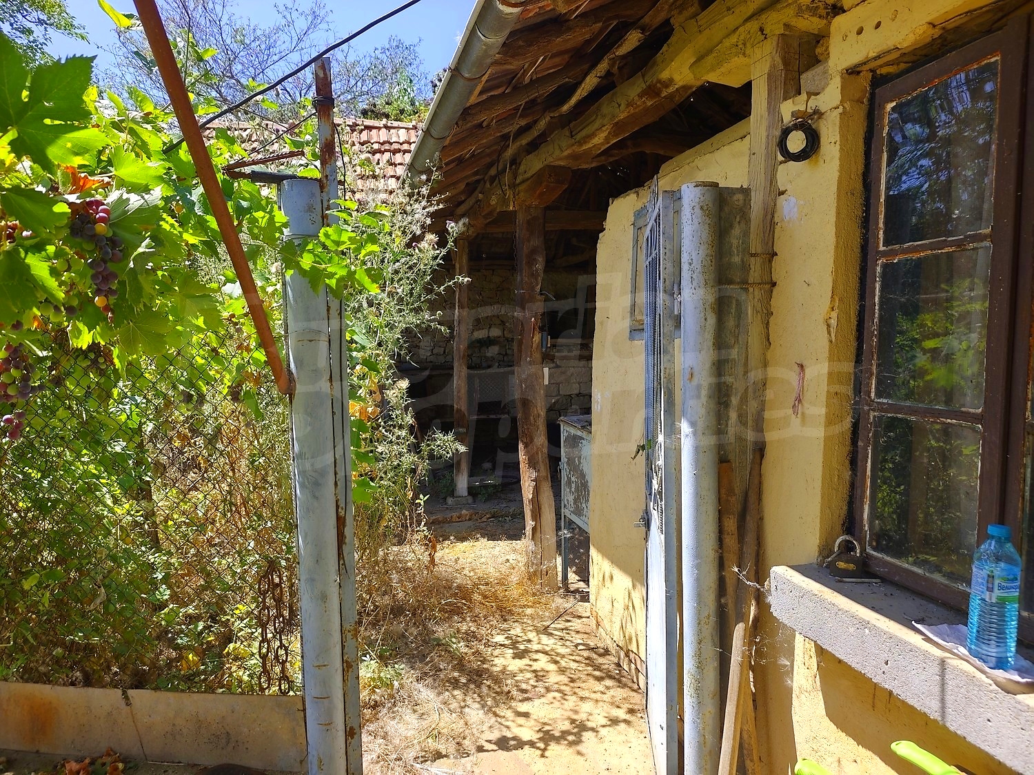 Gallery Picture 32