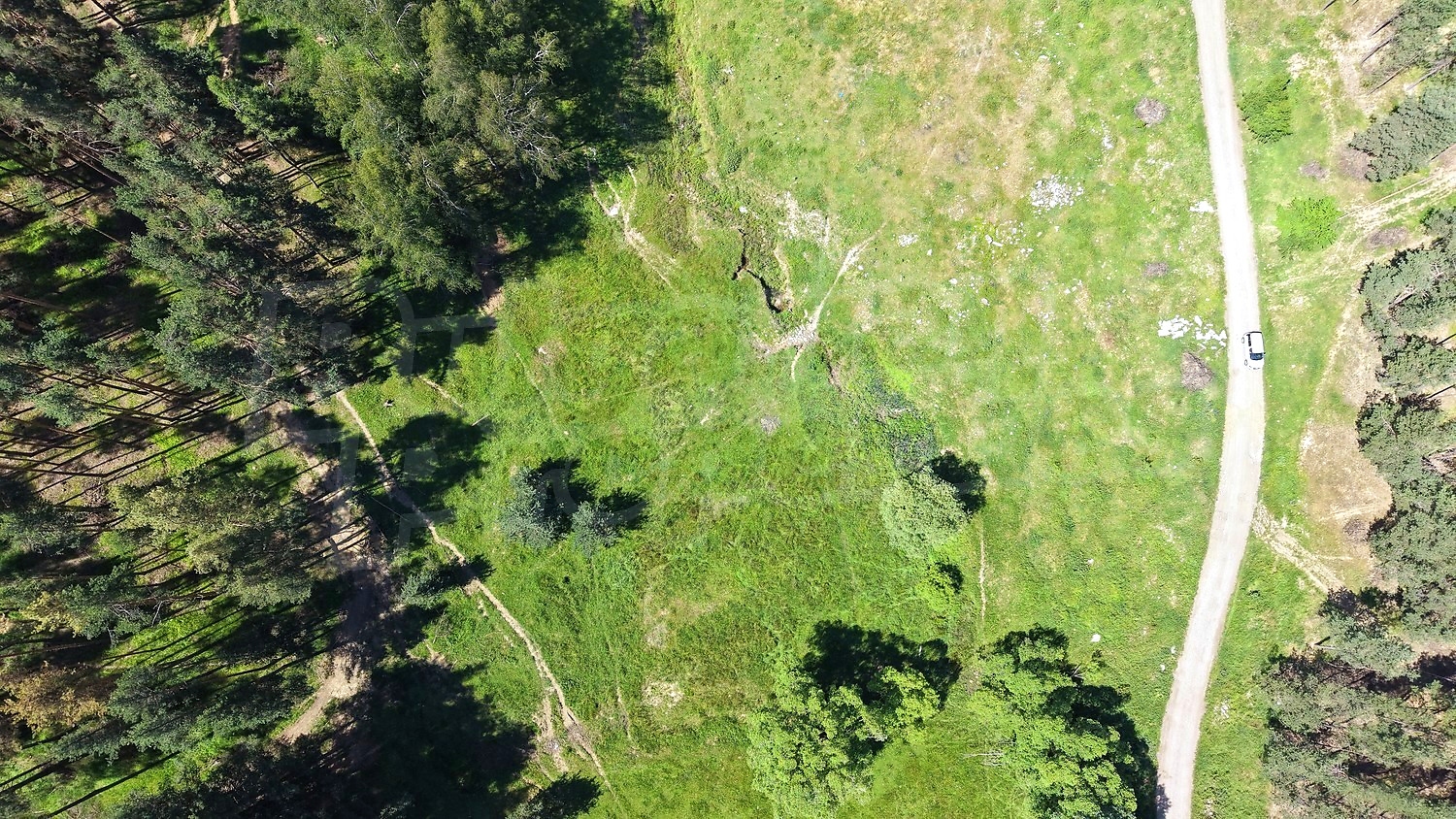 Gallery Picture 4