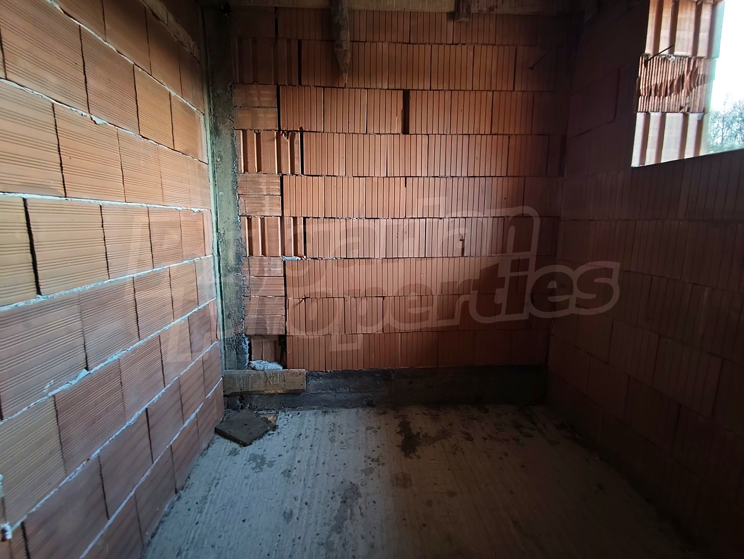 Gallery Picture 12