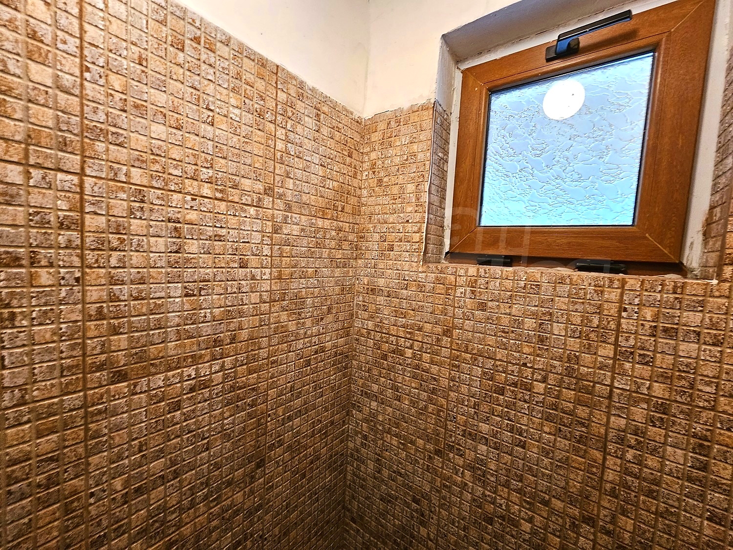 Gallery Picture 26
