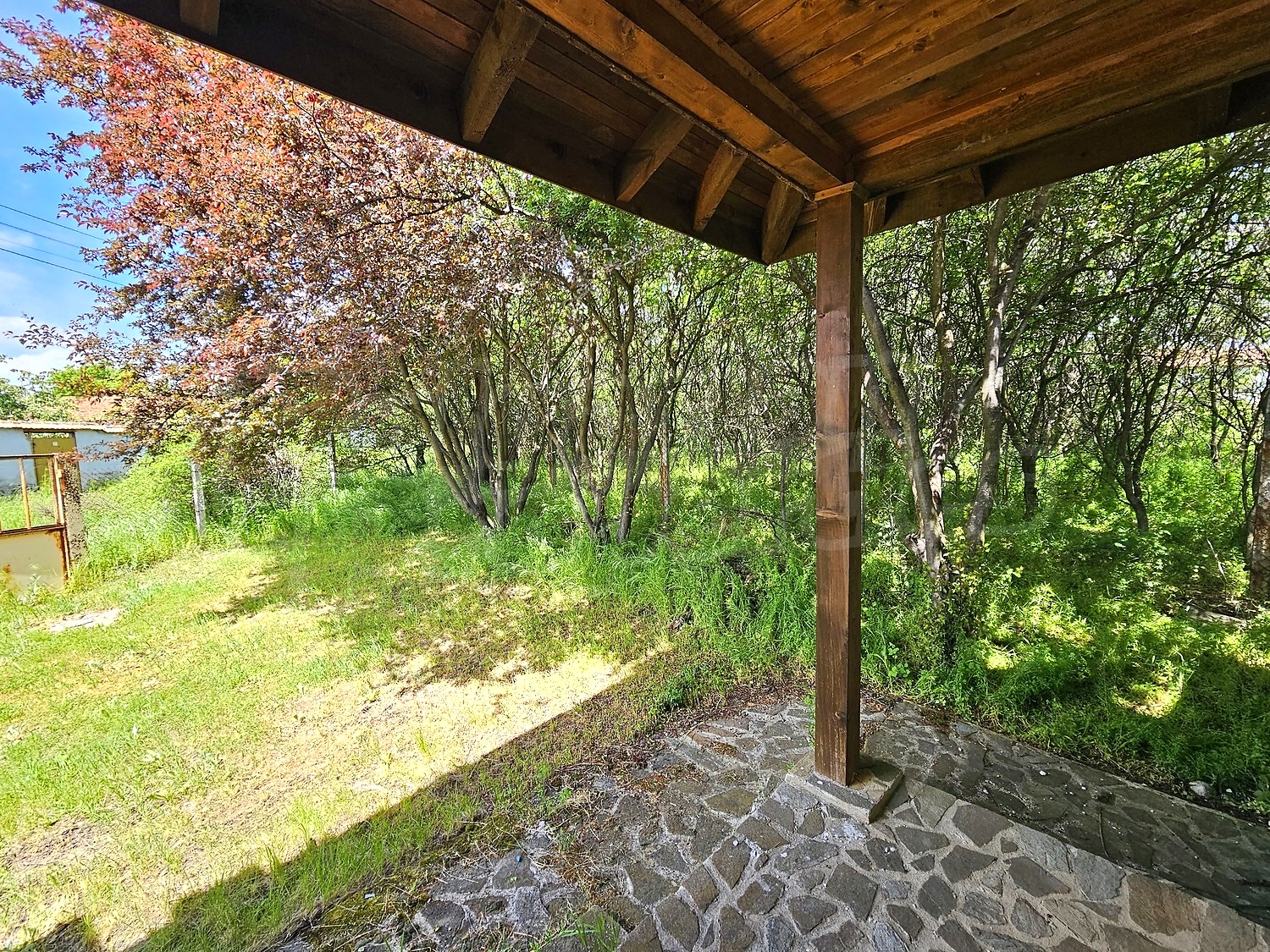 Gallery Picture 38