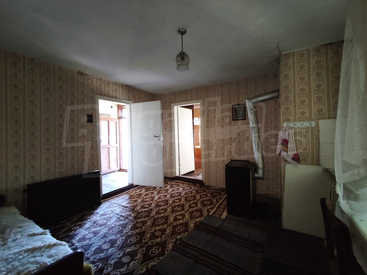 Gallery Picture 41