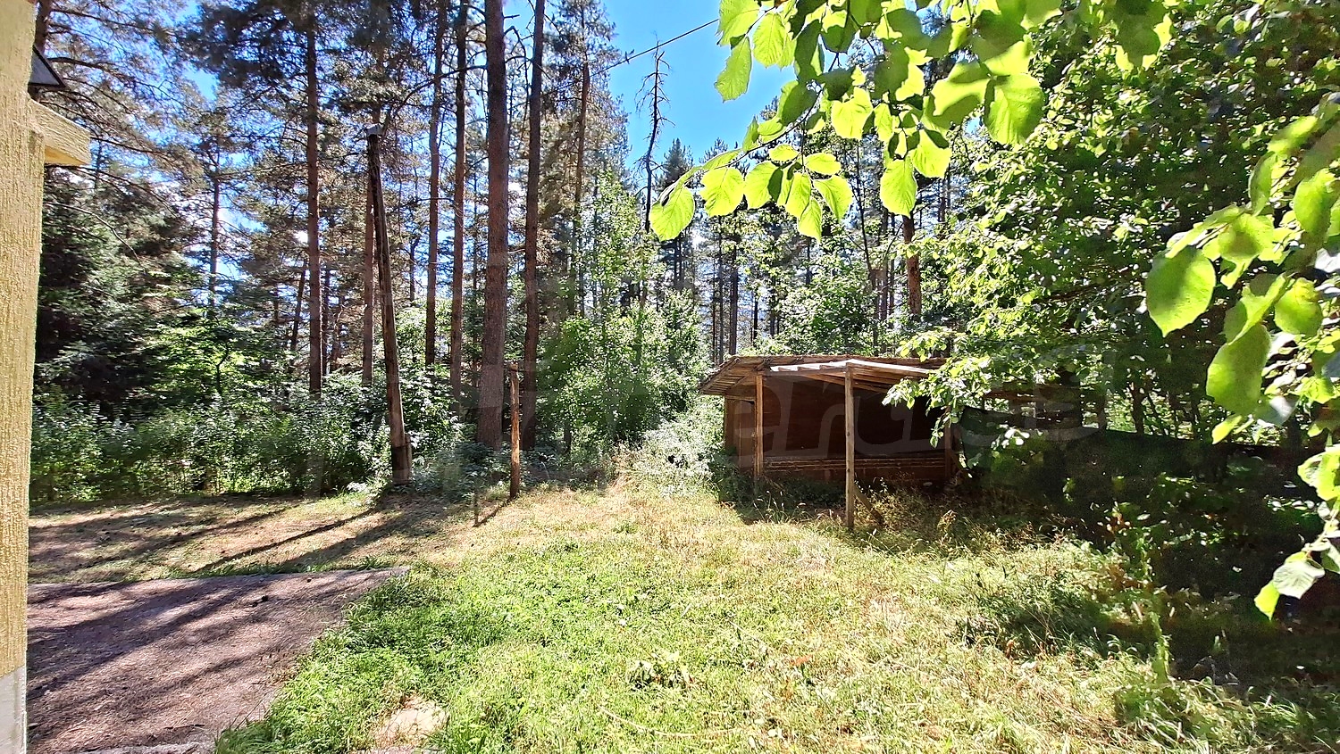 Gallery Picture 29