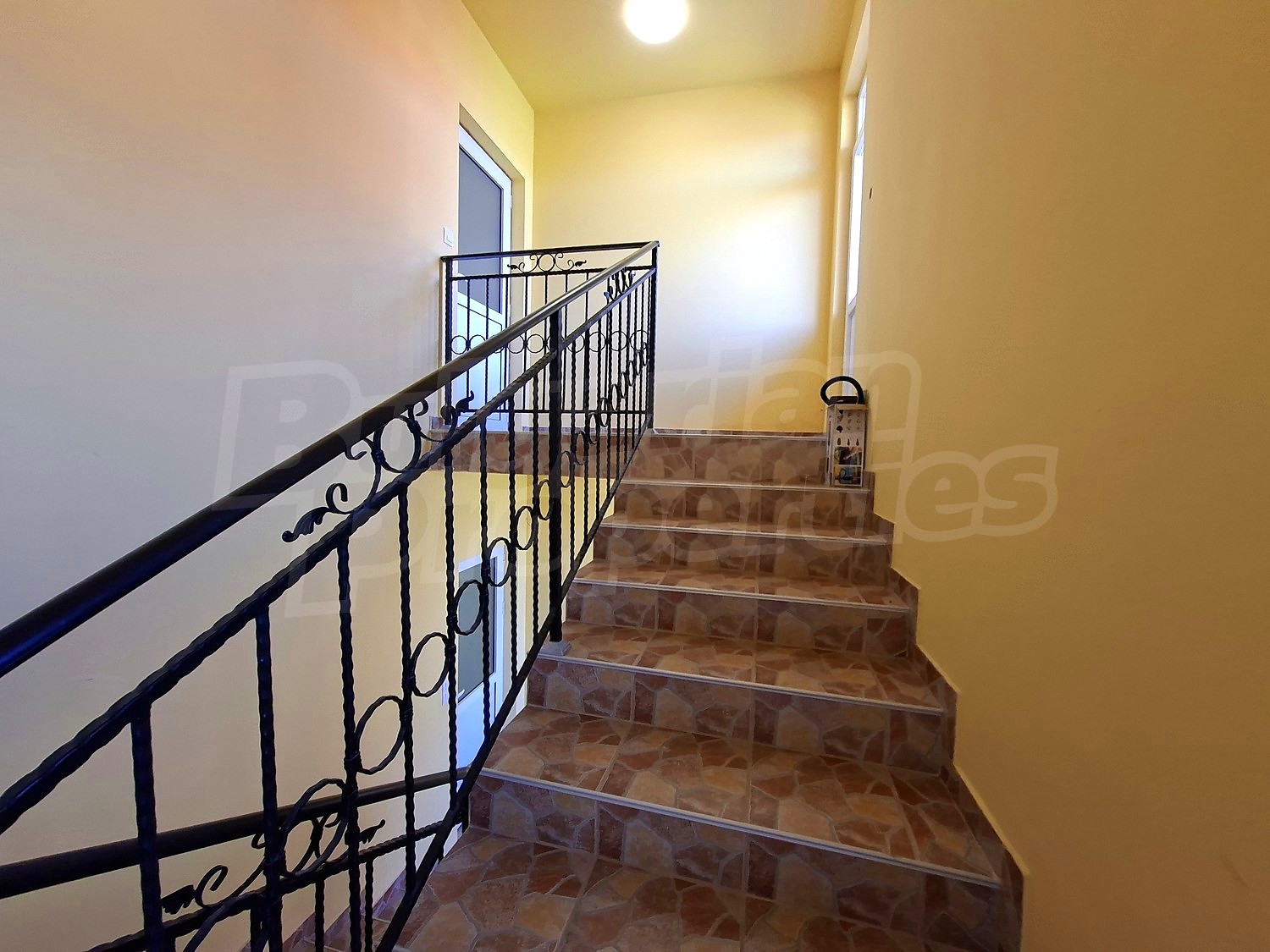 Gallery Picture 16