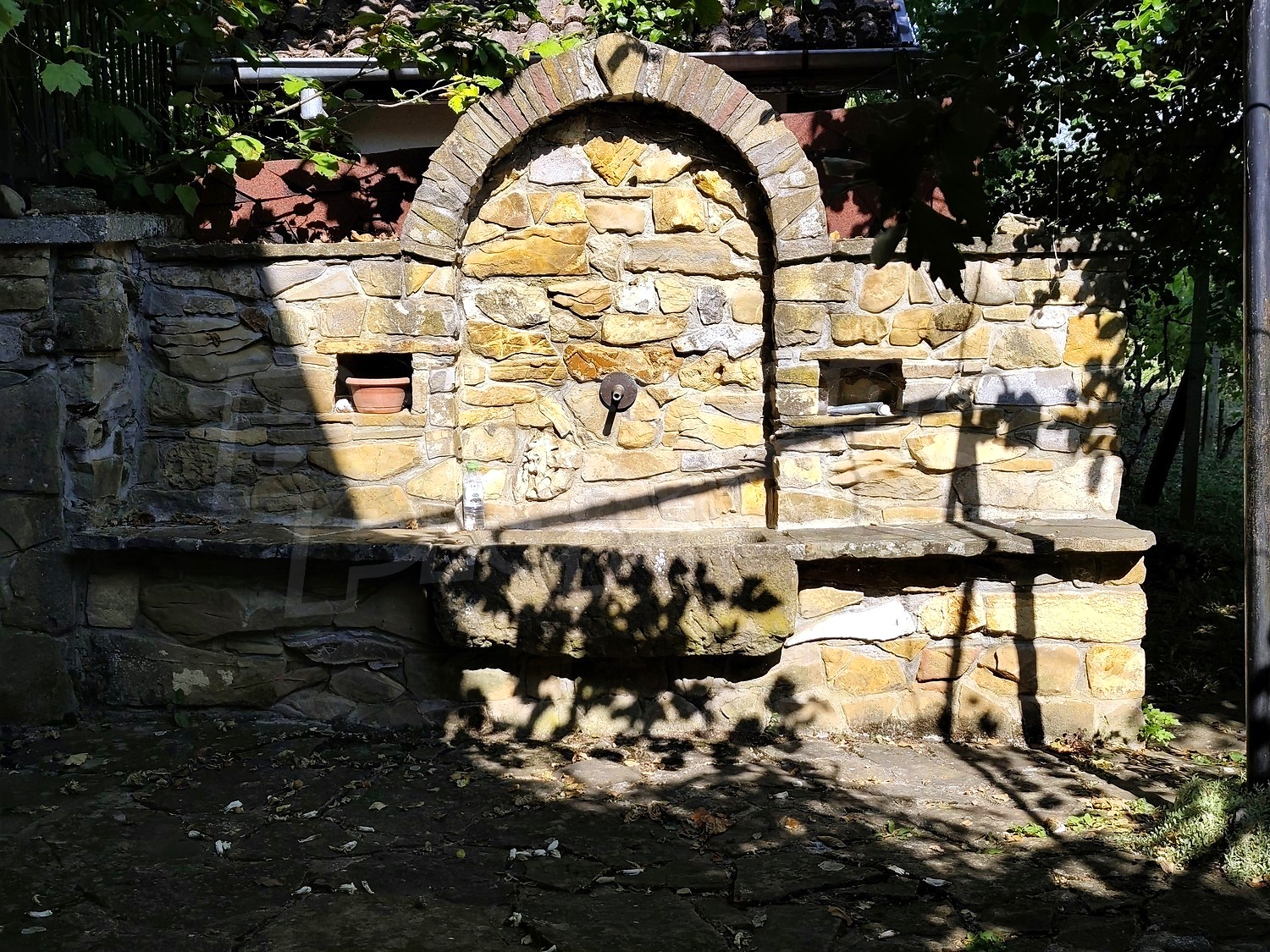 Gallery Picture 53