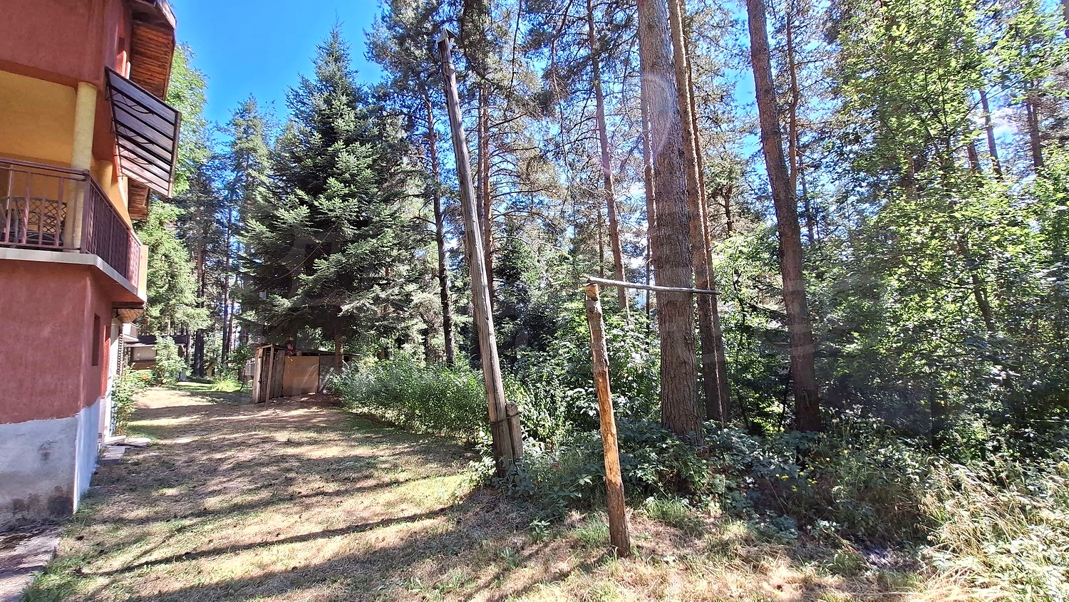 Gallery Picture 31