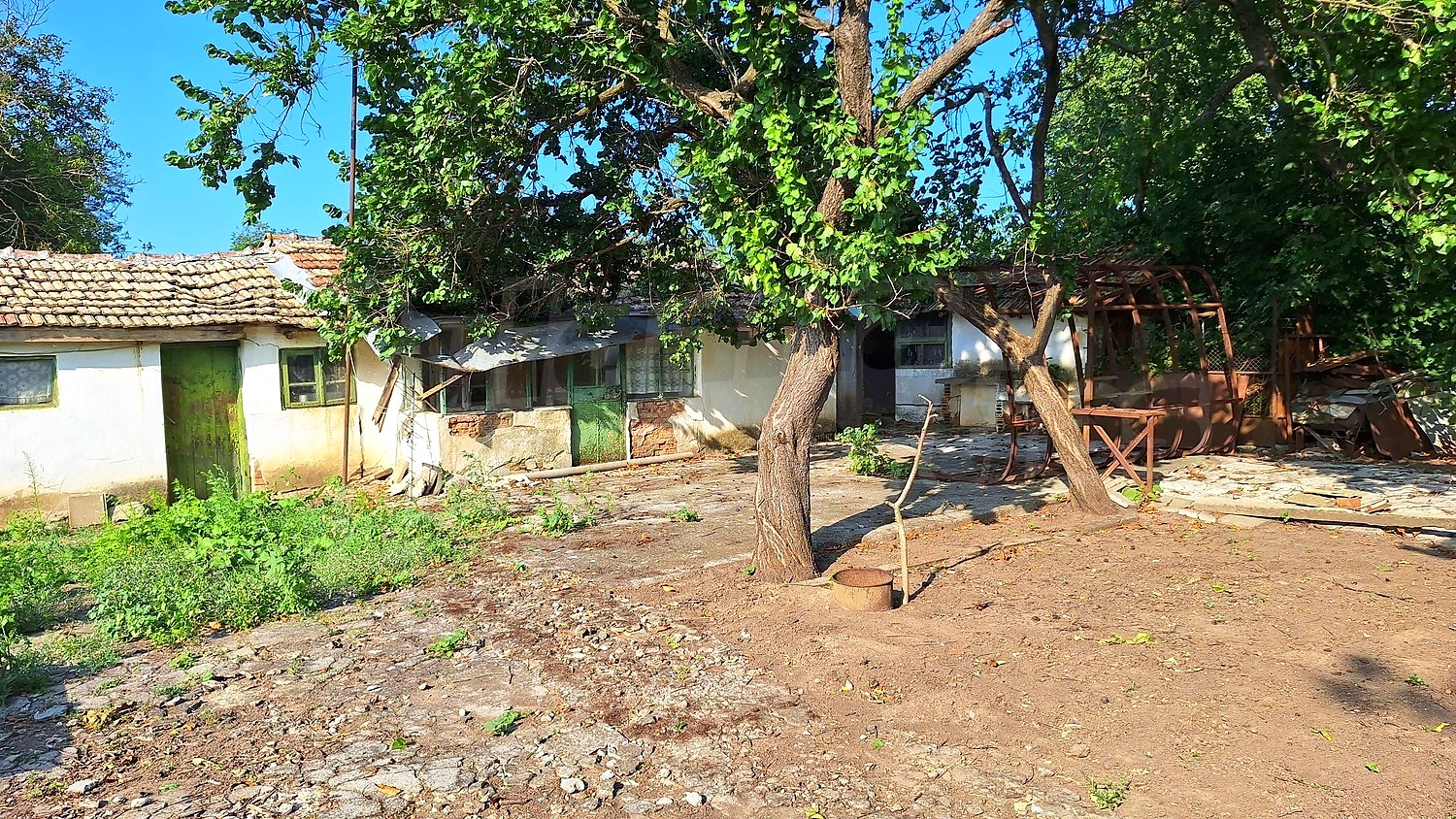 Gallery Picture 33
