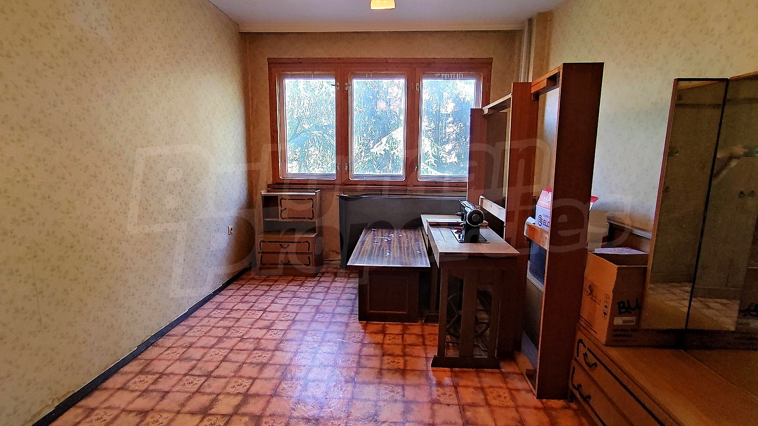 Gallery Picture 15