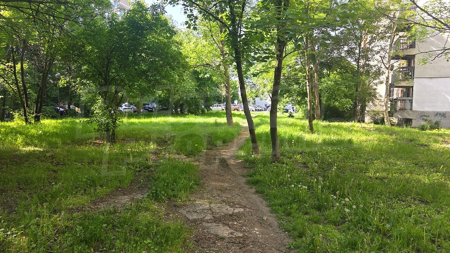 Gallery Picture 13