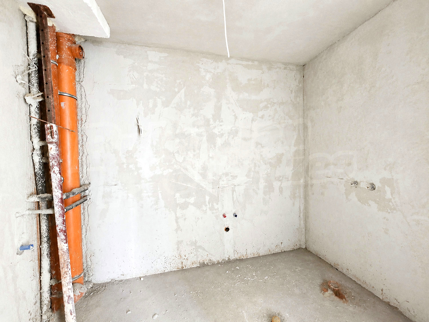 Gallery Picture 8