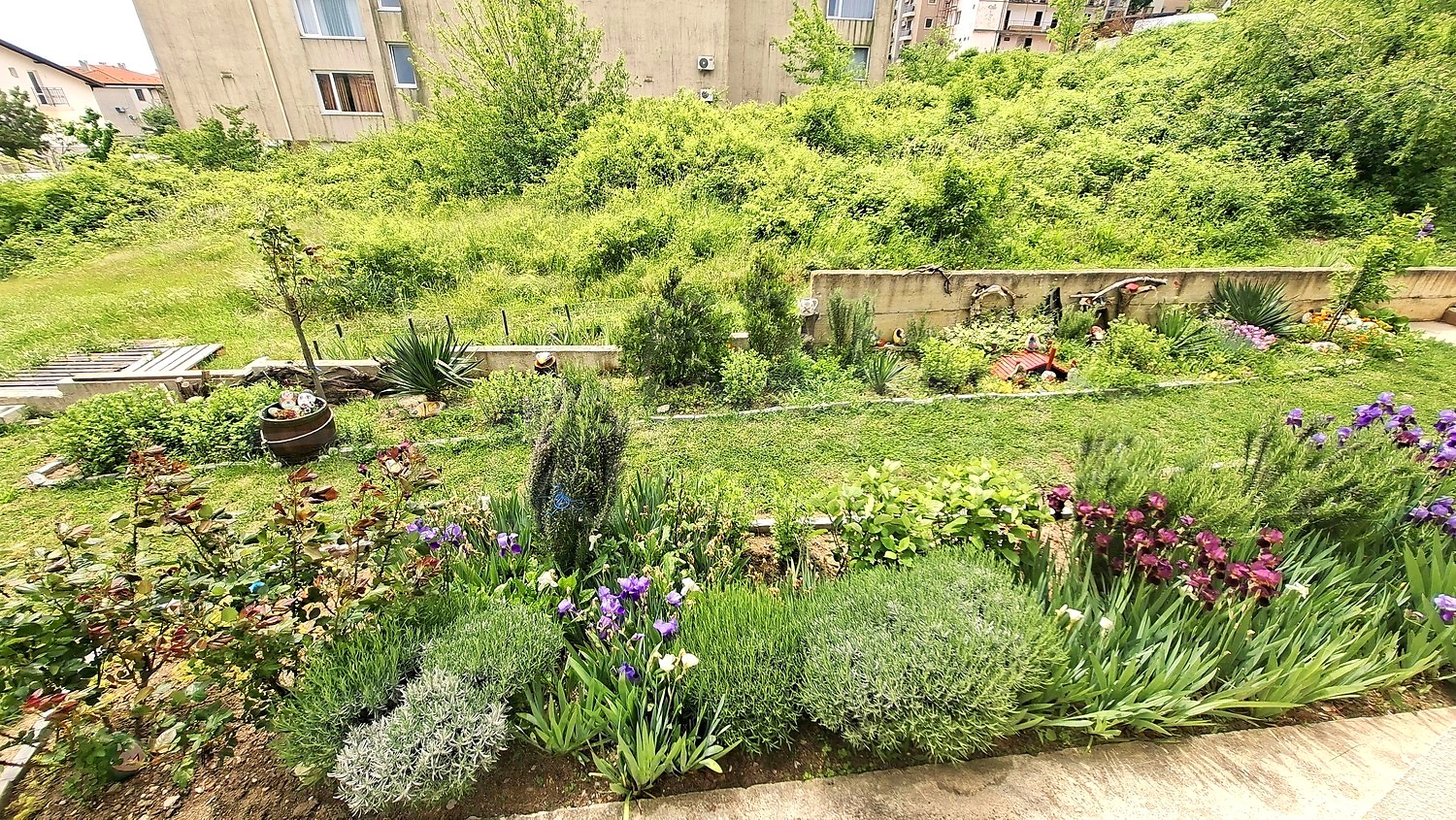 Gallery Picture 10