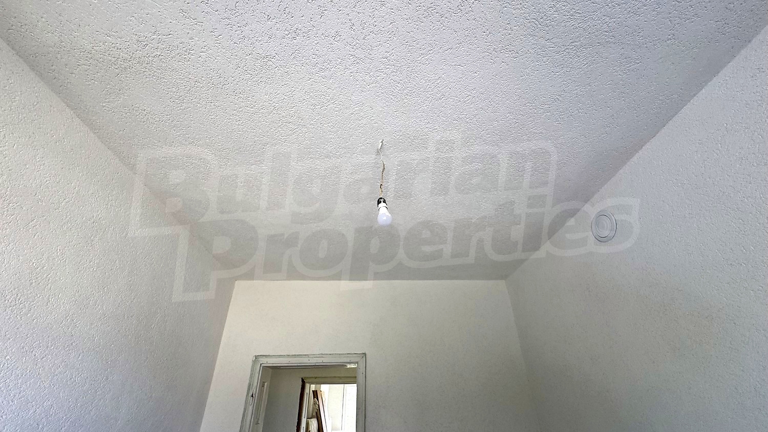 Gallery Picture 24