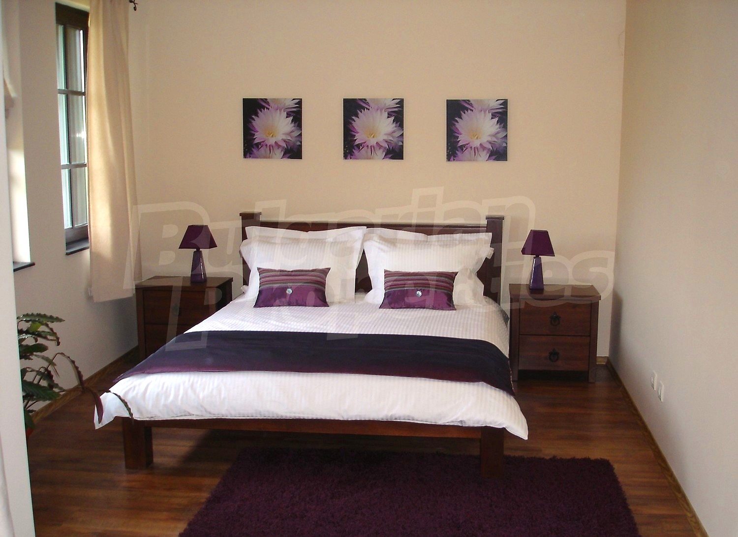 Gallery Picture 13