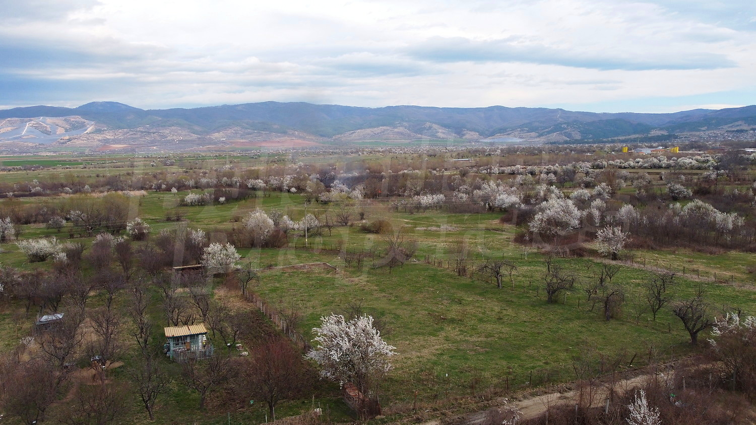 Gallery Picture 17