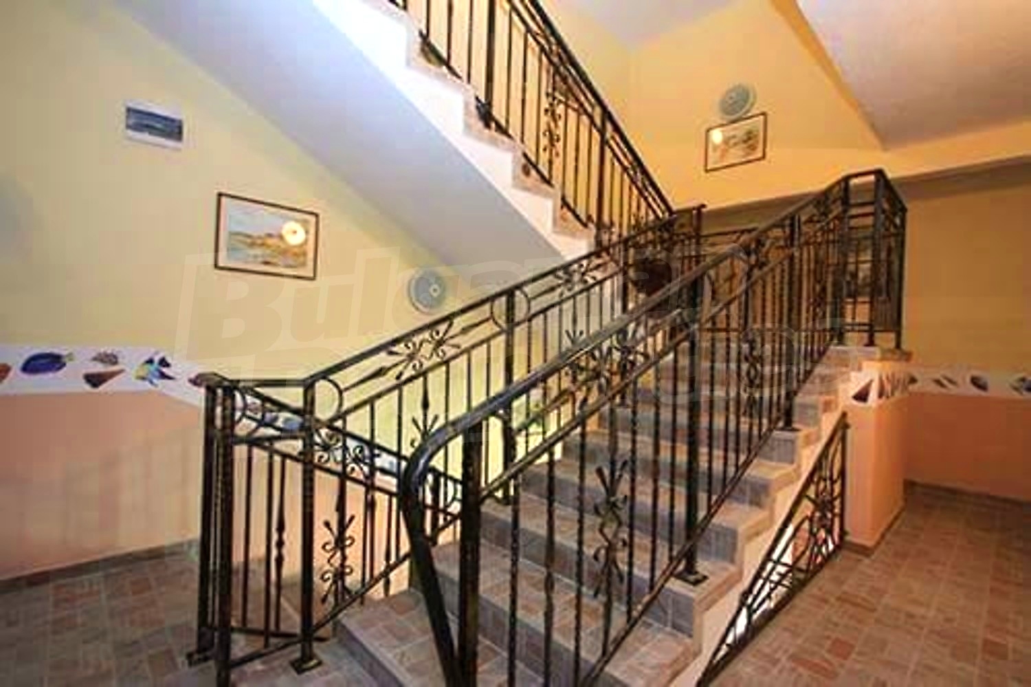 Gallery Picture 14