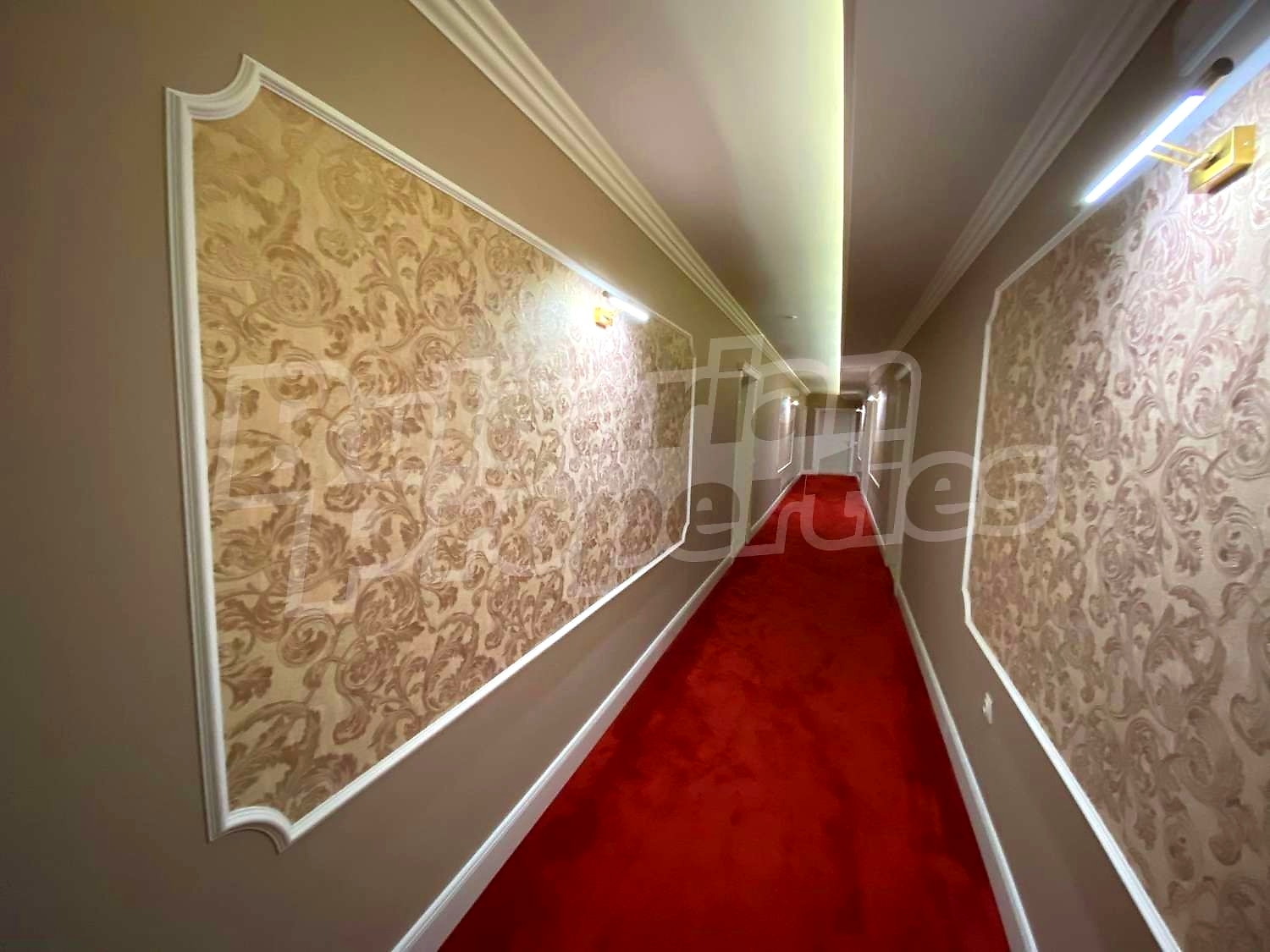 Gallery Picture 39