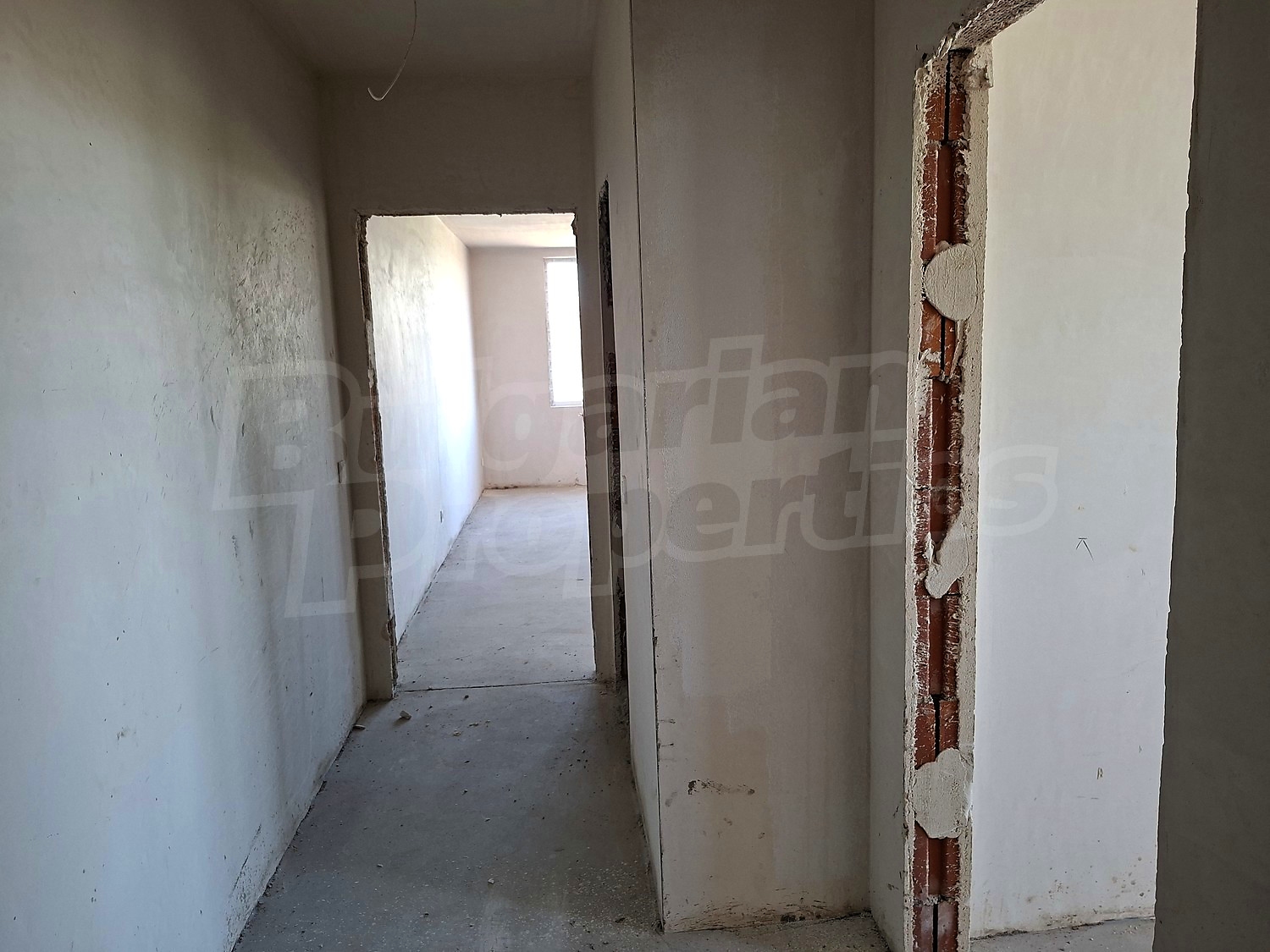 Gallery Picture 19