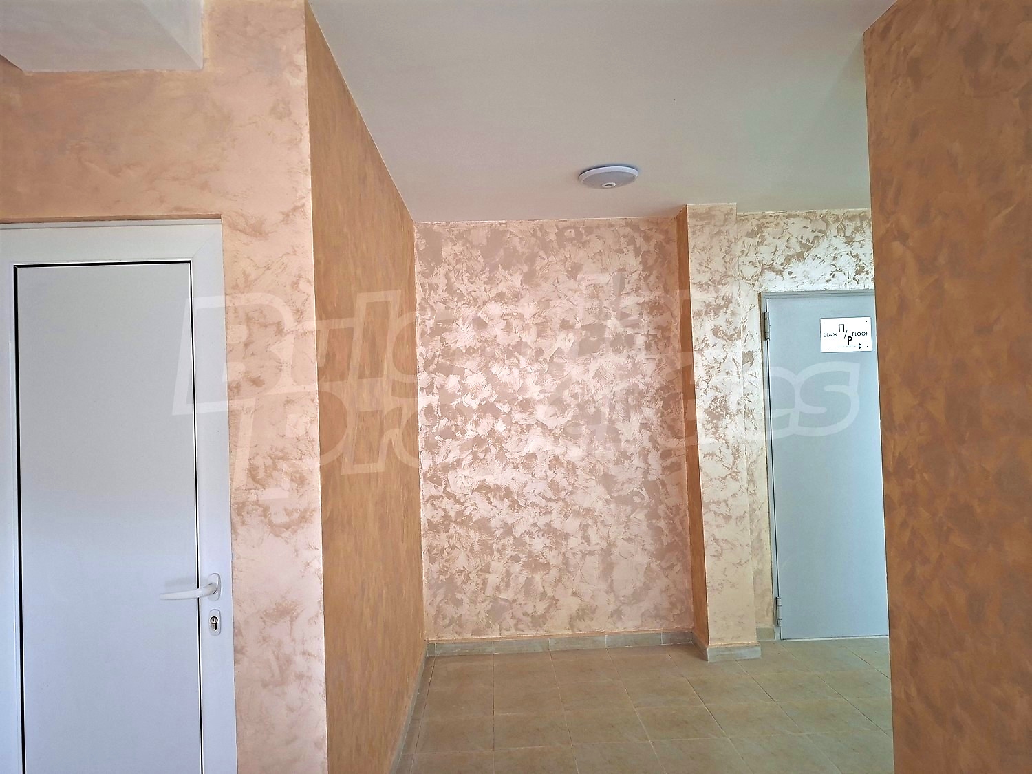 Gallery Picture 24