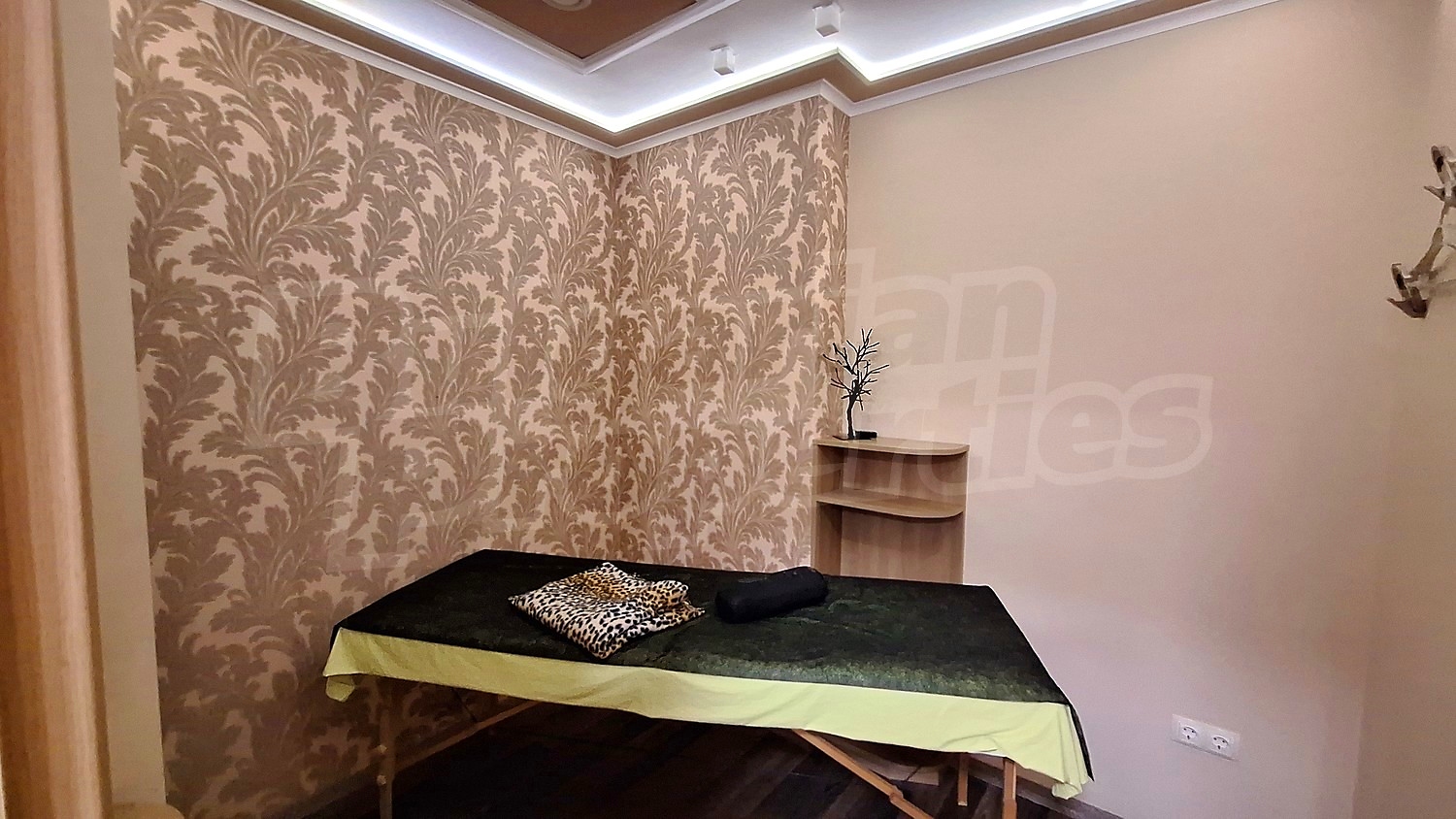 Gallery Picture 11