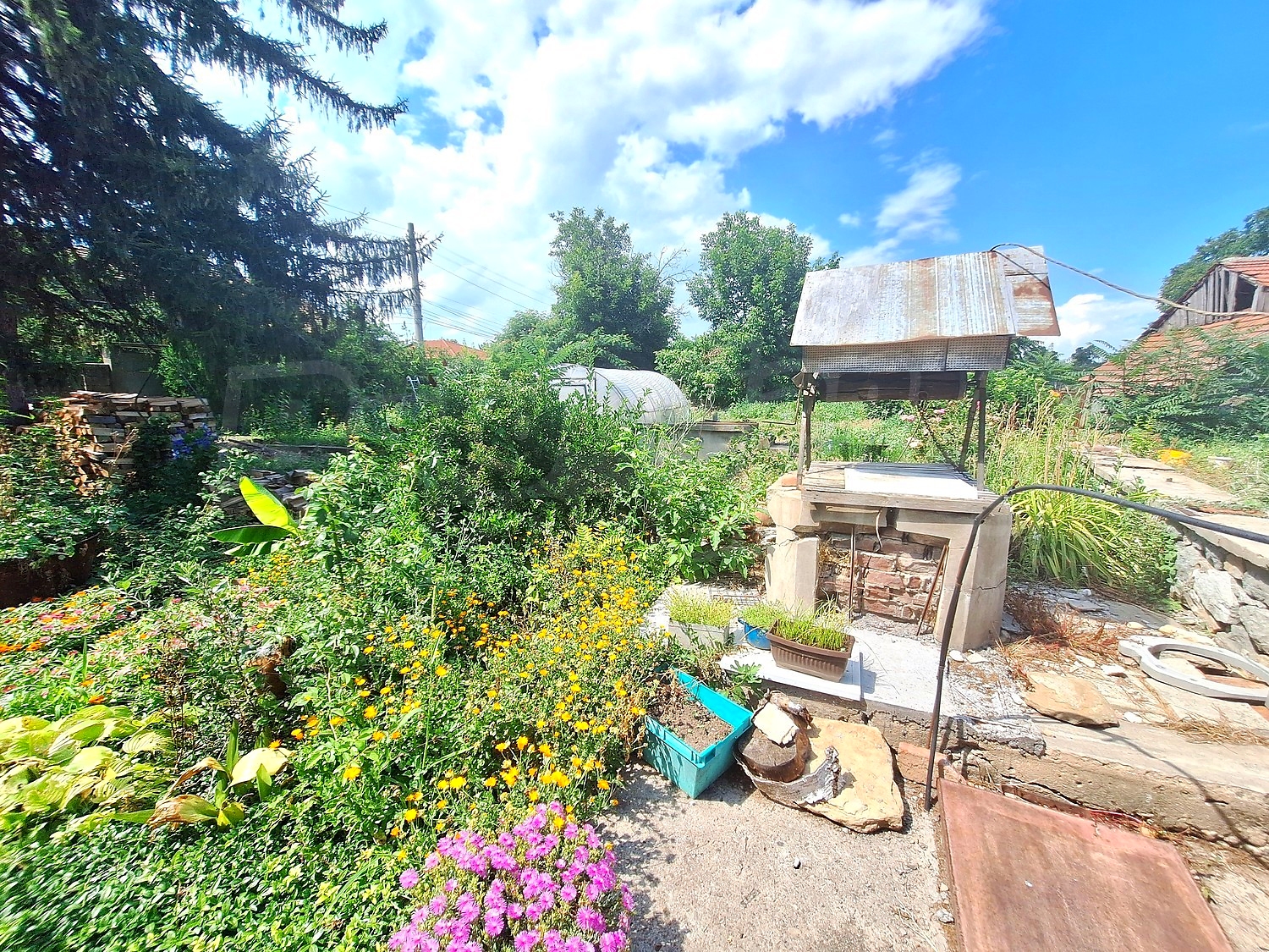 Gallery Picture 15