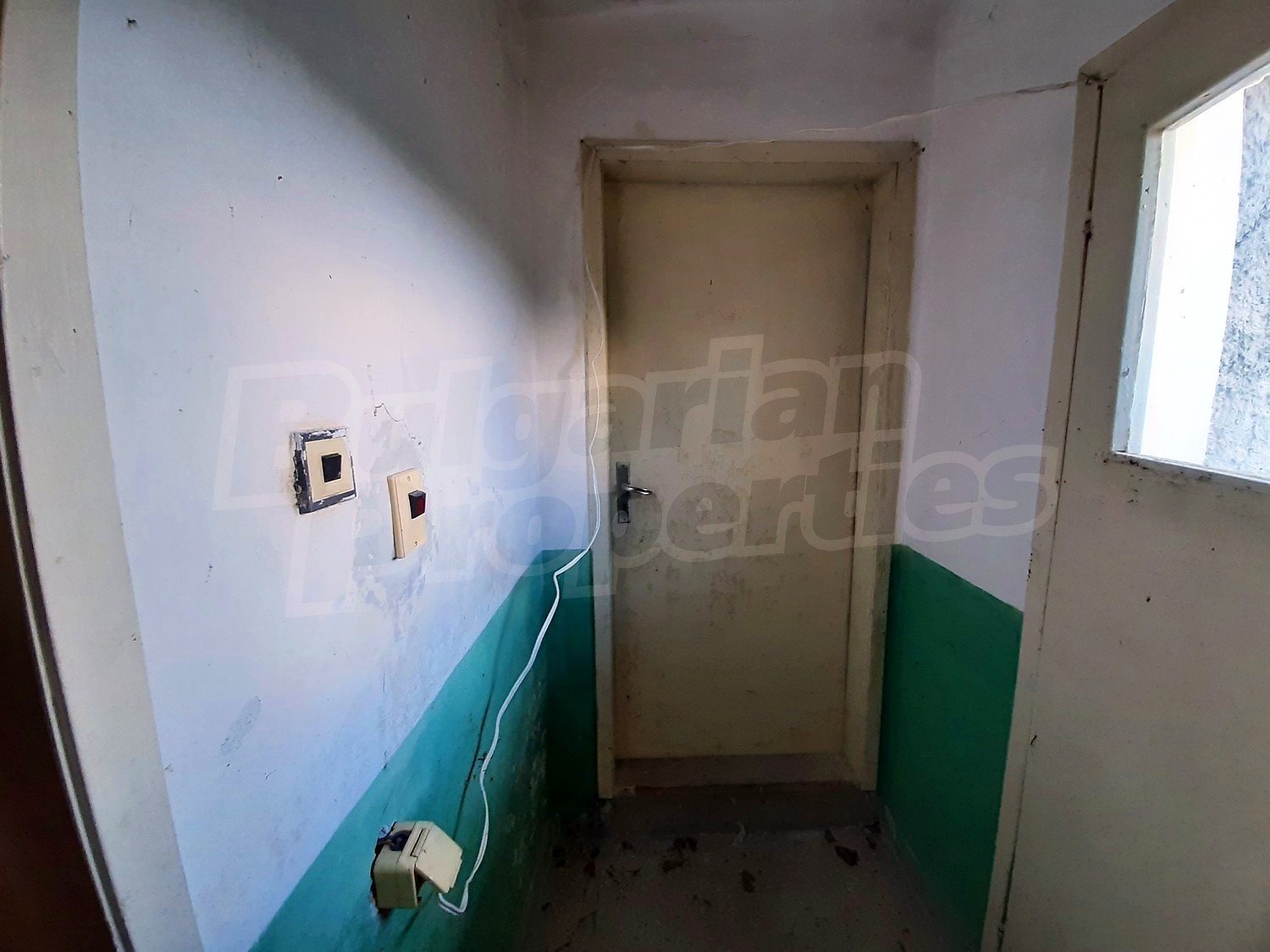 Gallery Picture 17