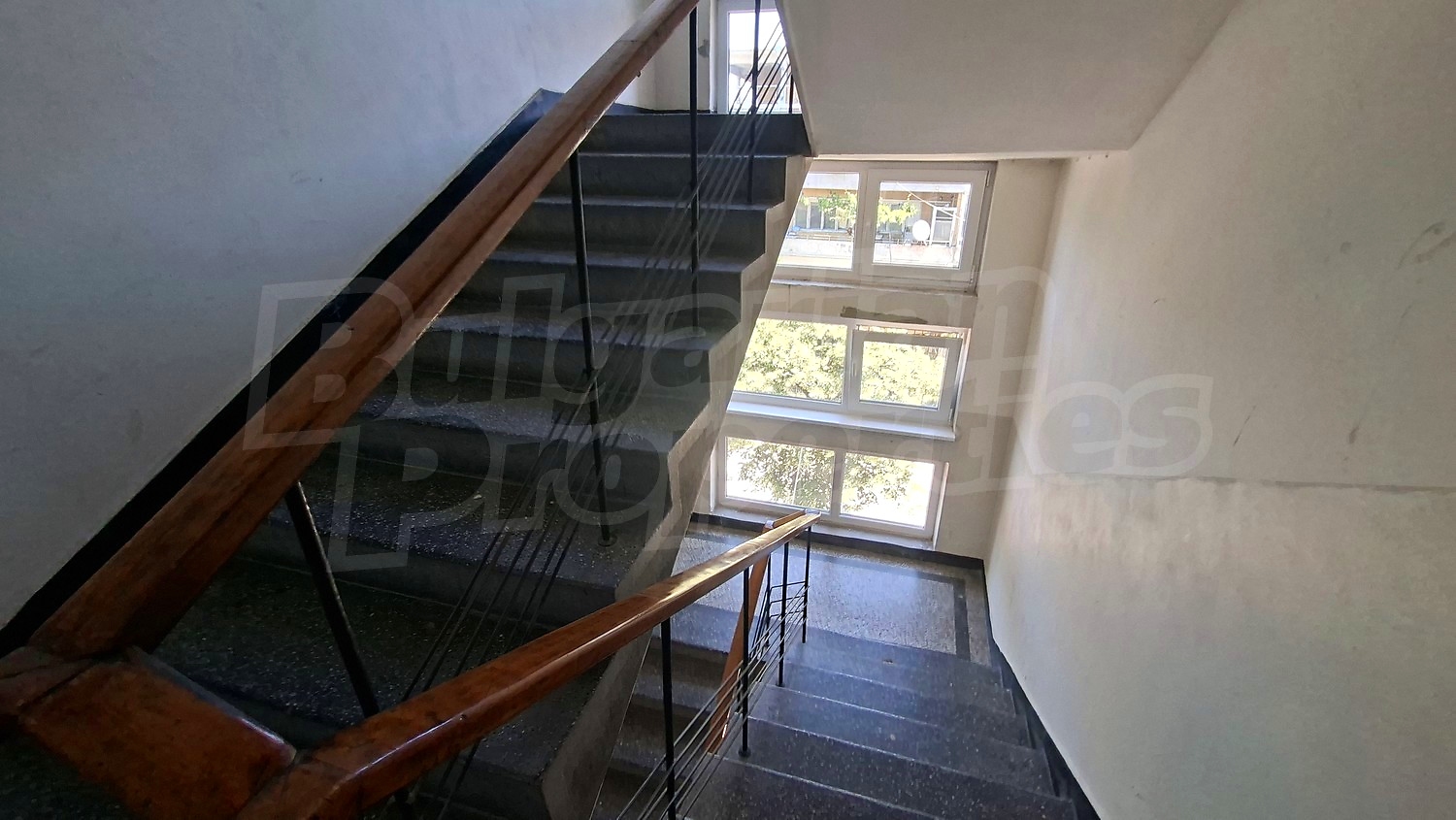 Gallery Picture 36