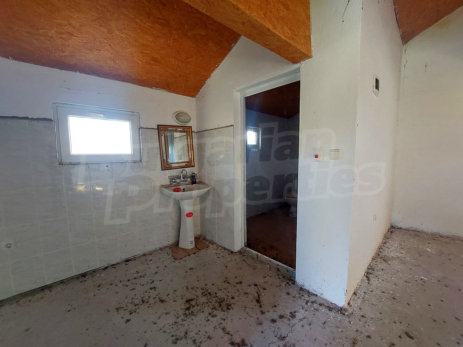 Gallery Picture 16