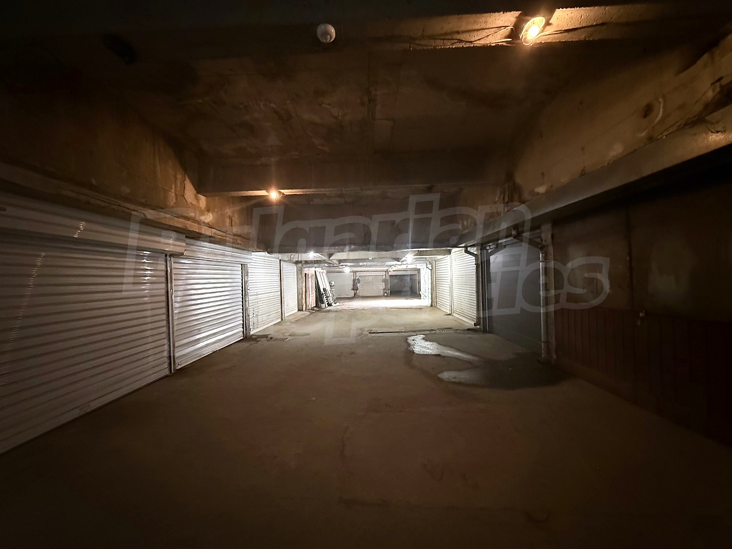 Gallery Picture 5