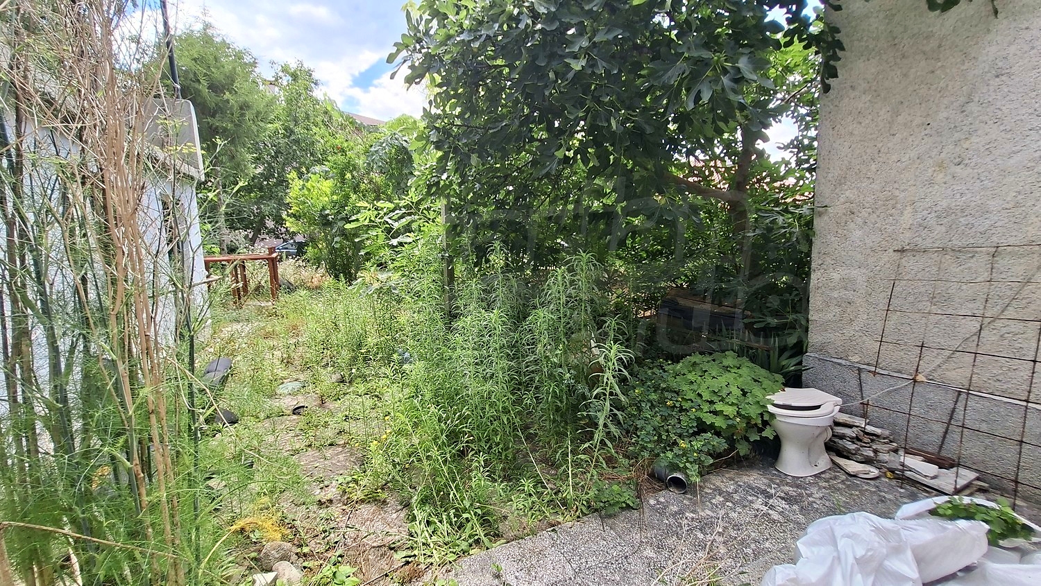 Gallery Picture 31