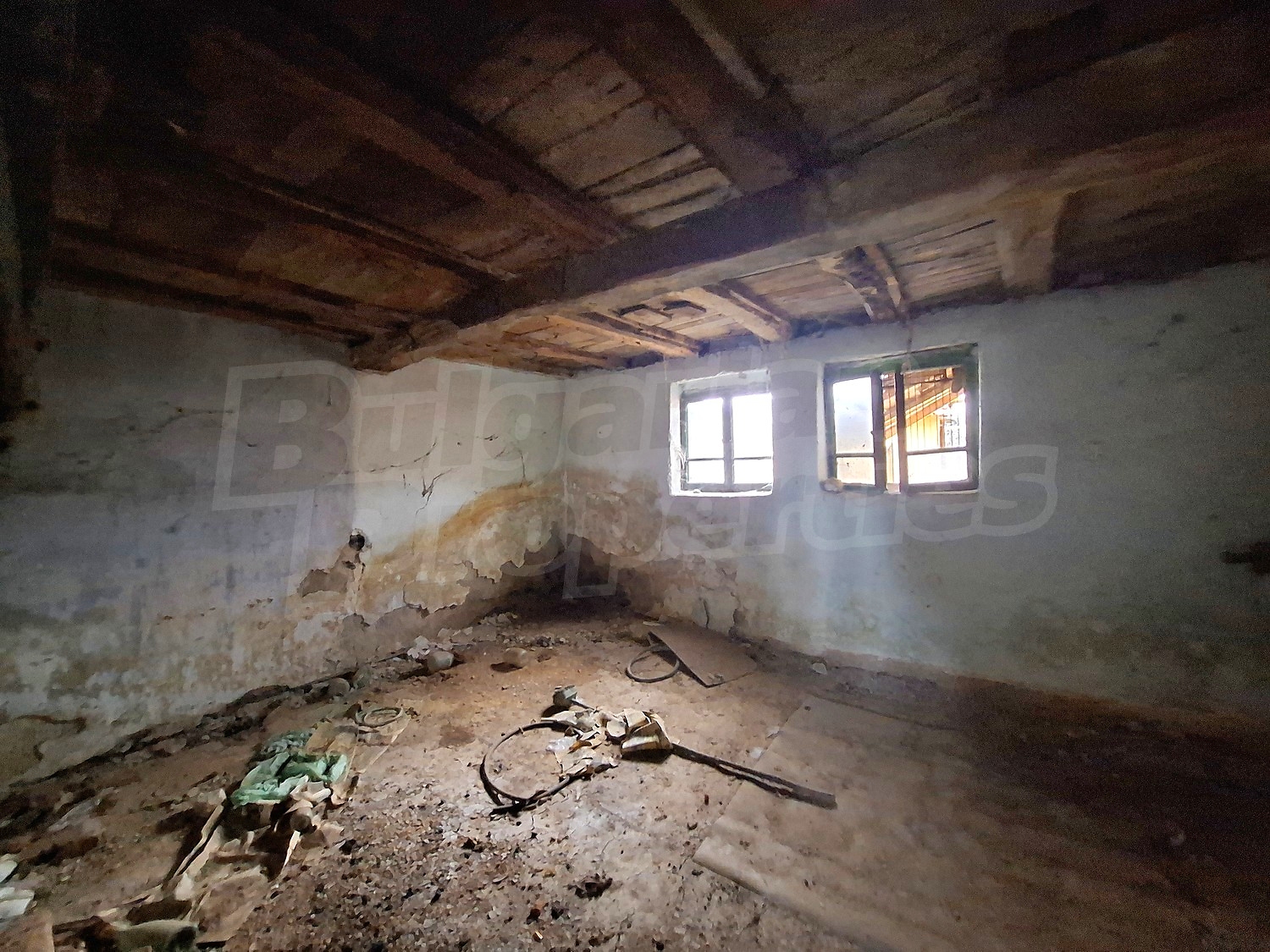 Gallery Picture 12