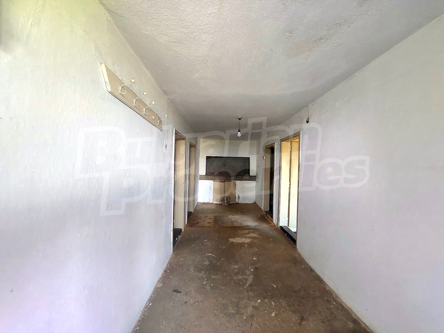 Gallery Picture 16