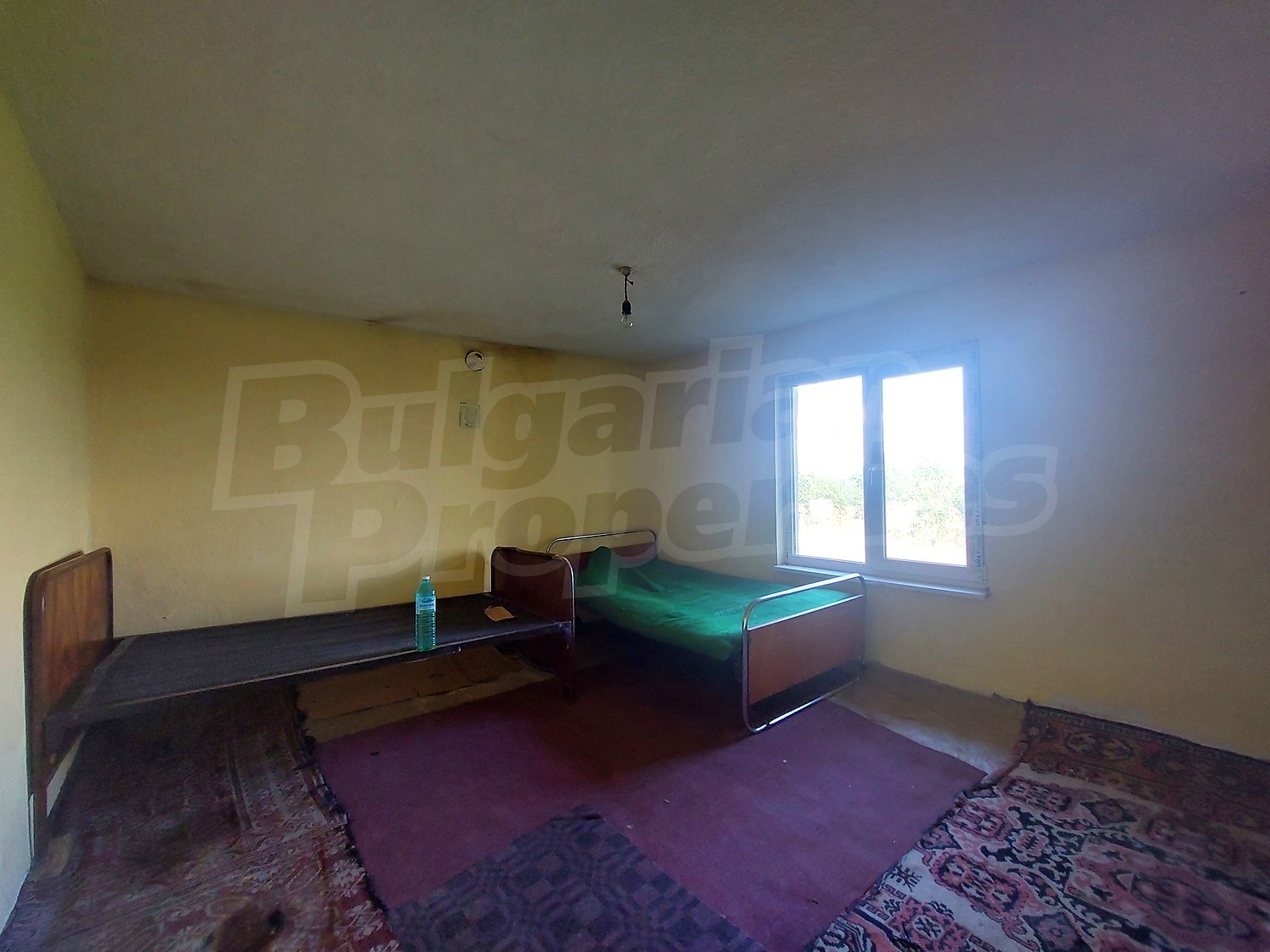 Gallery Picture 17
