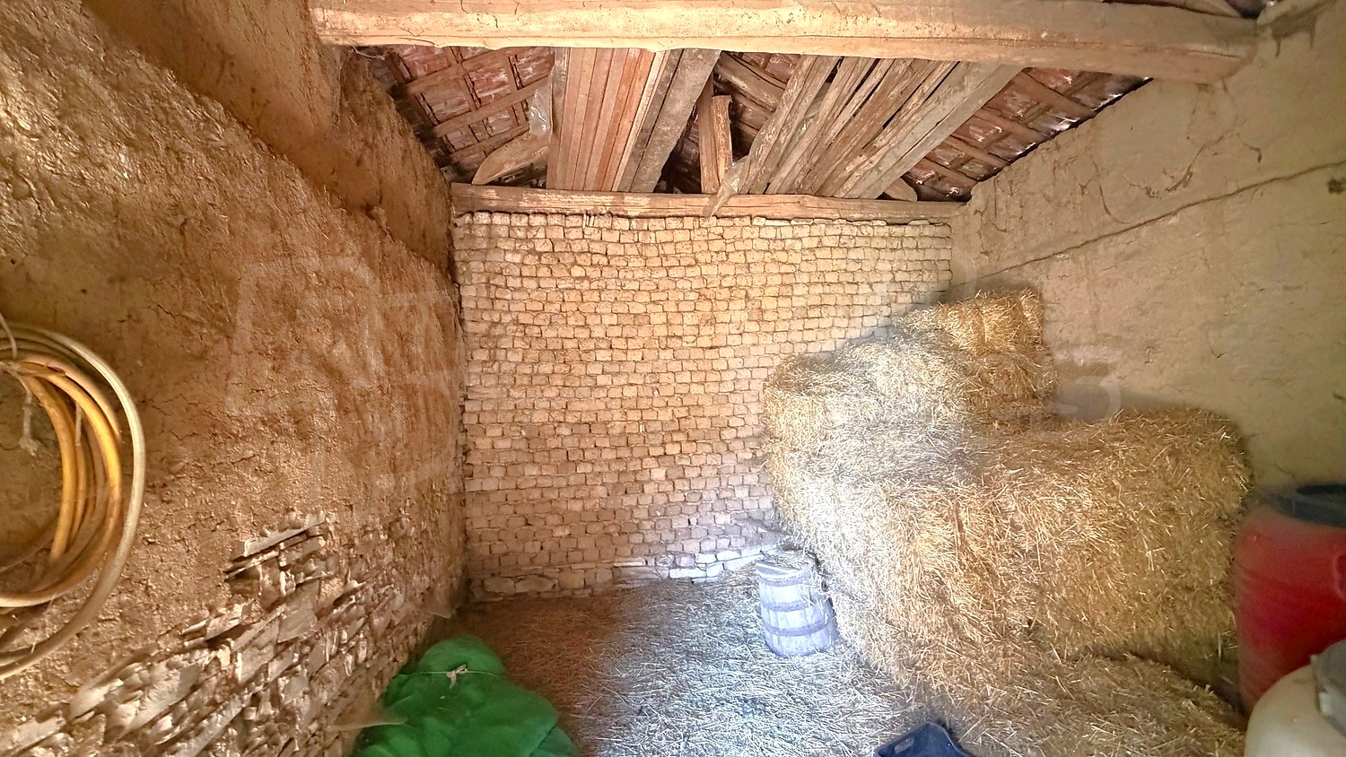 Gallery Picture 13