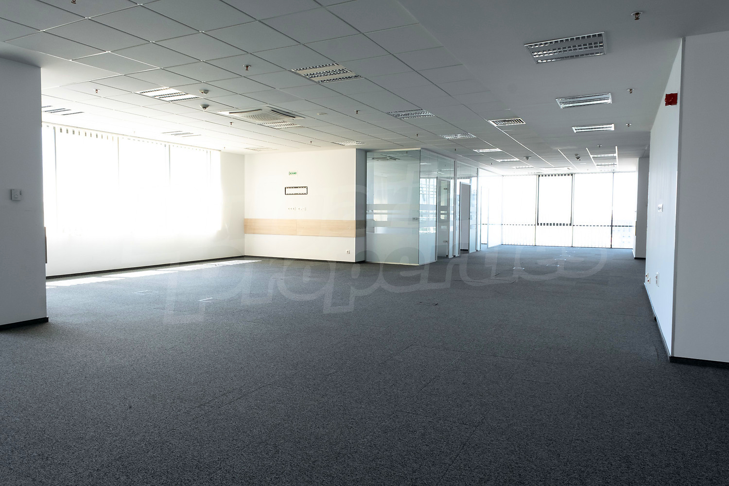 Gallery Picture 9