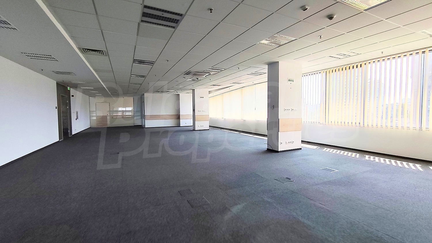 Gallery Picture 5