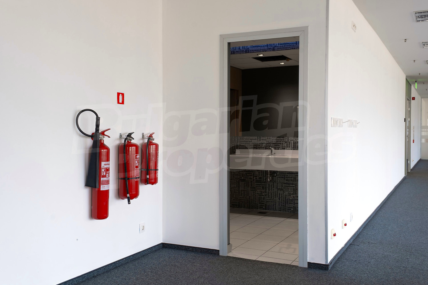 Gallery Picture 17