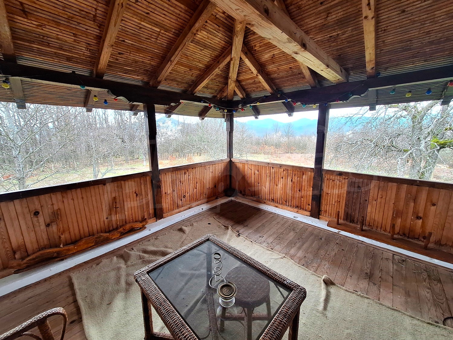 Gallery Picture 4
