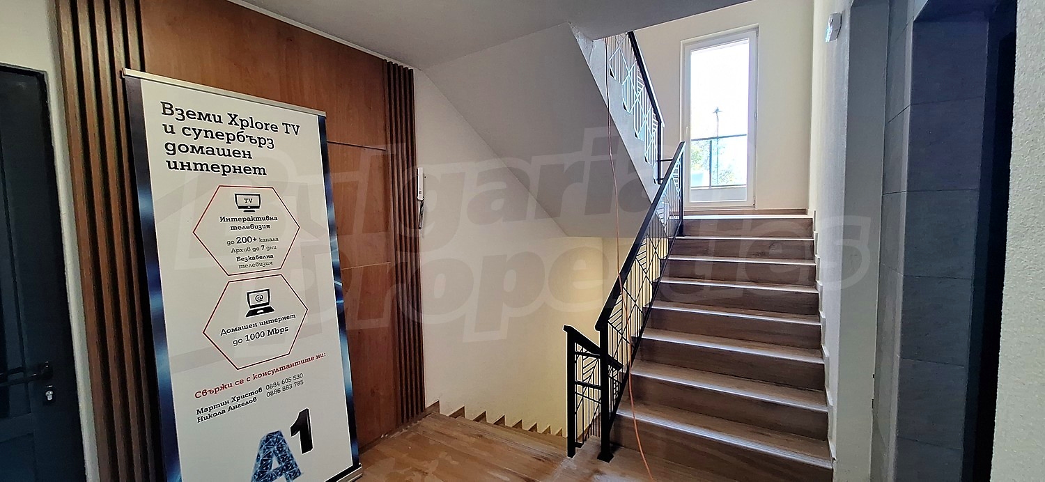 Gallery Picture 6