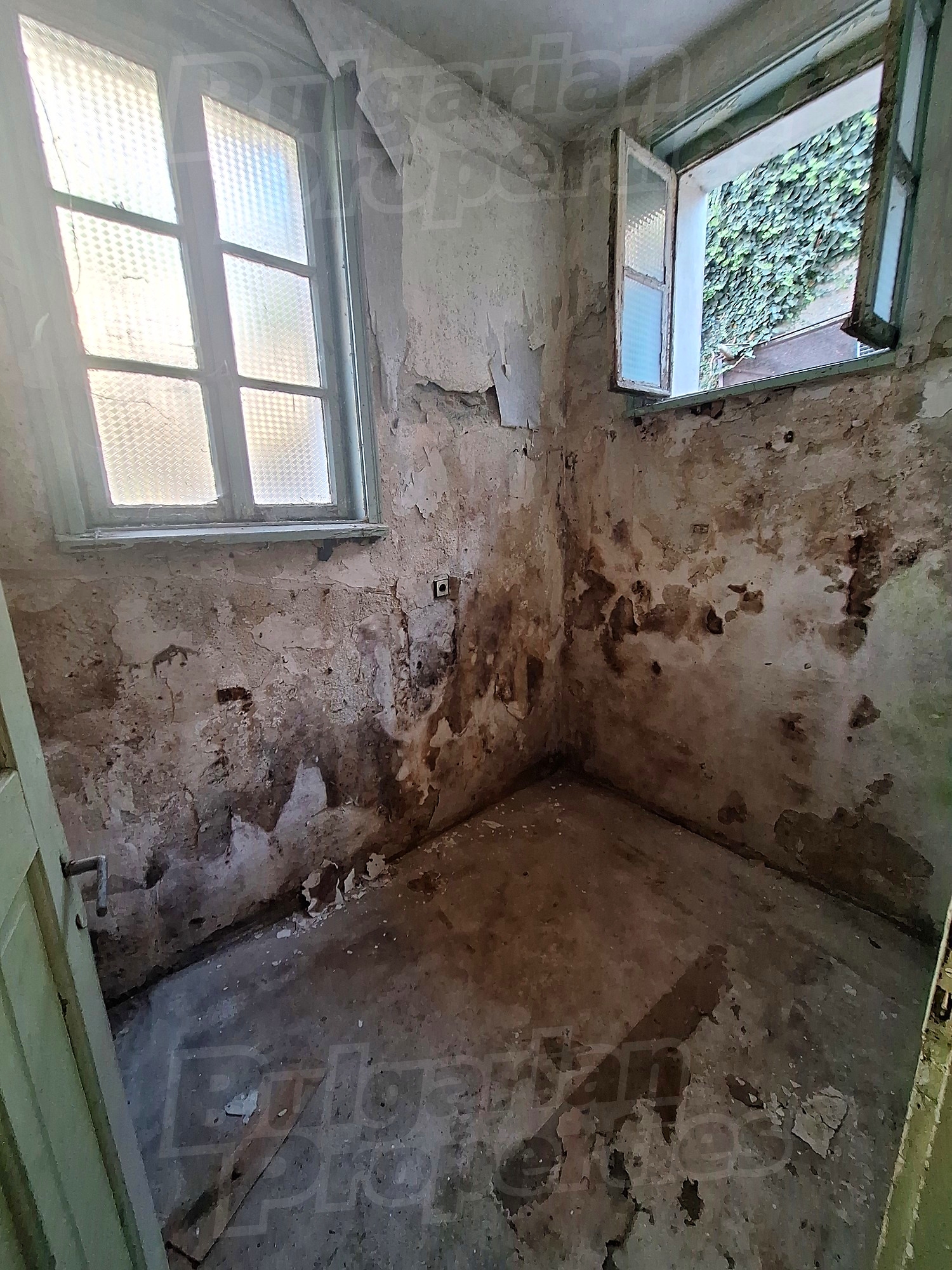 Gallery Picture 14