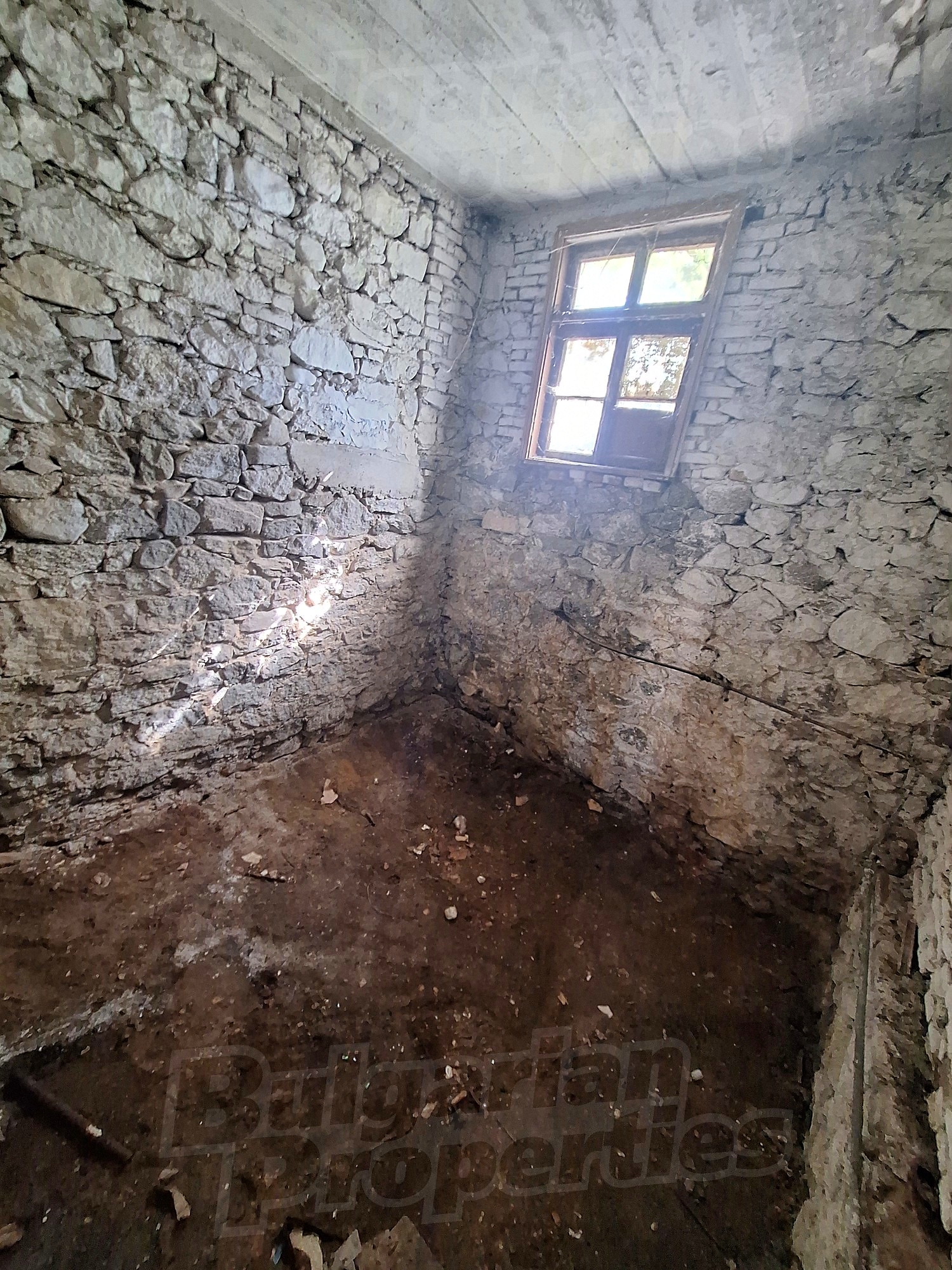Gallery Picture 17
