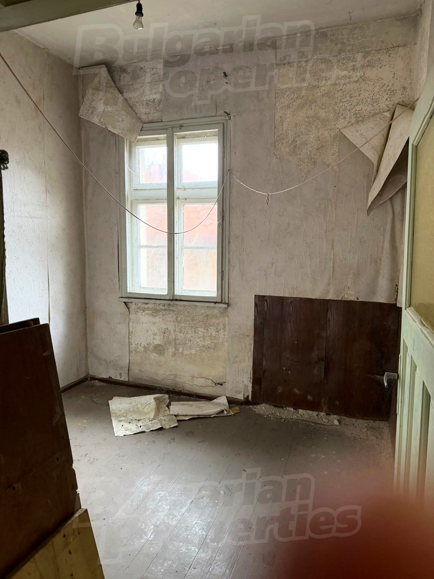 Gallery Picture 6