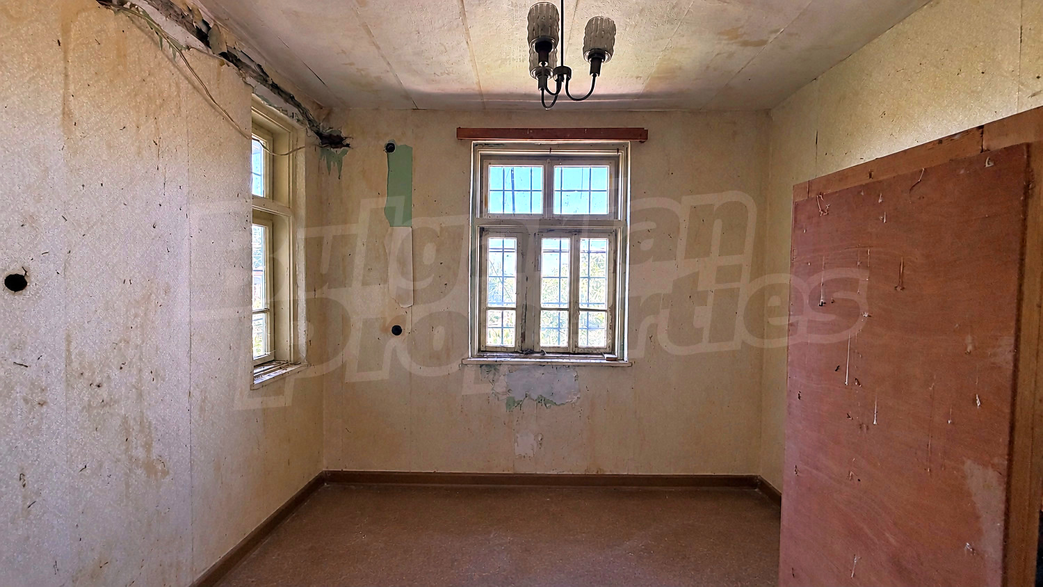Gallery Picture 10
