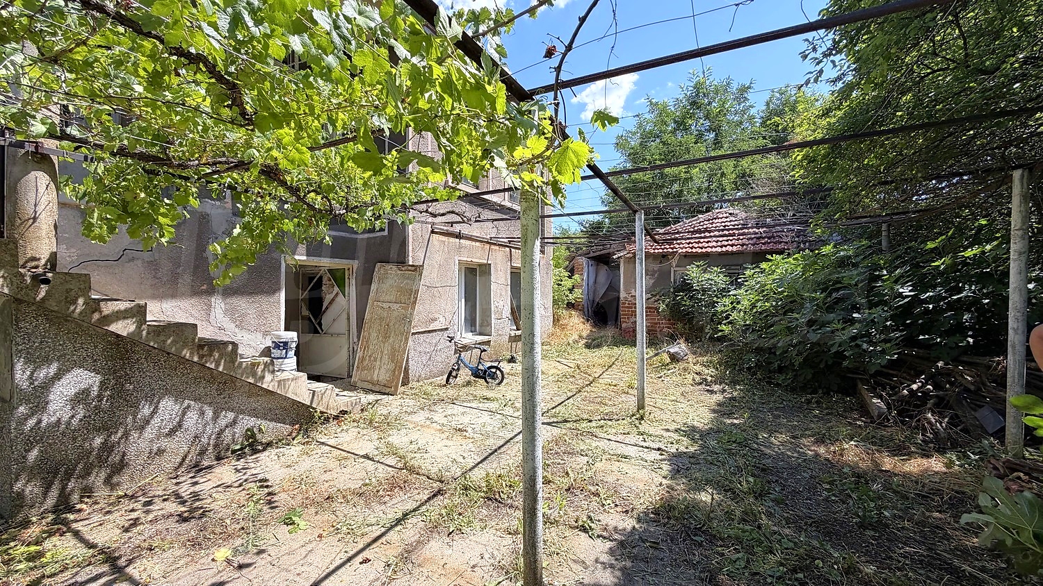Gallery Picture 41