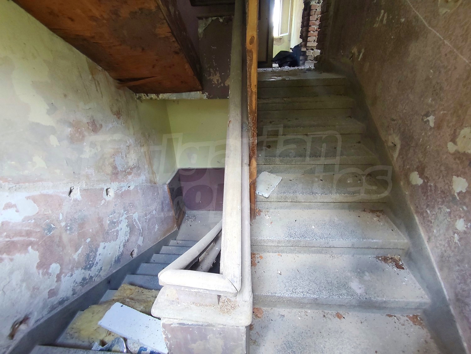 Gallery Picture 10