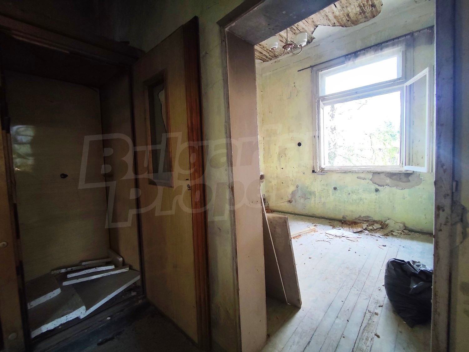 Gallery Picture 18