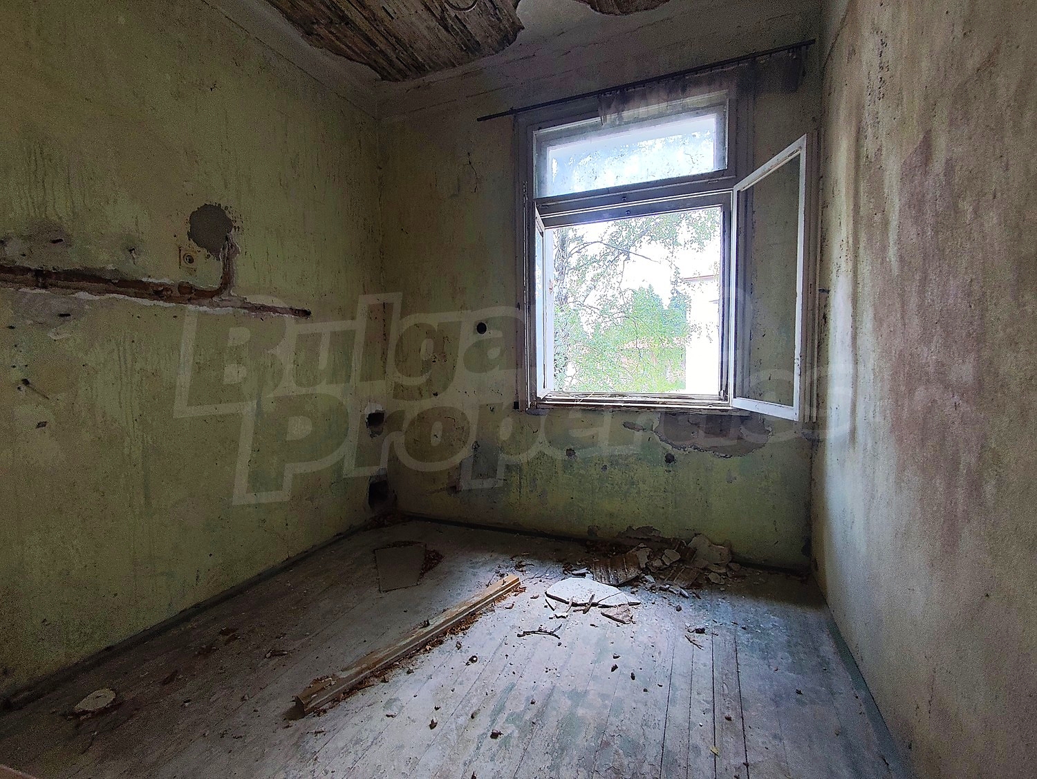 Gallery Picture 19