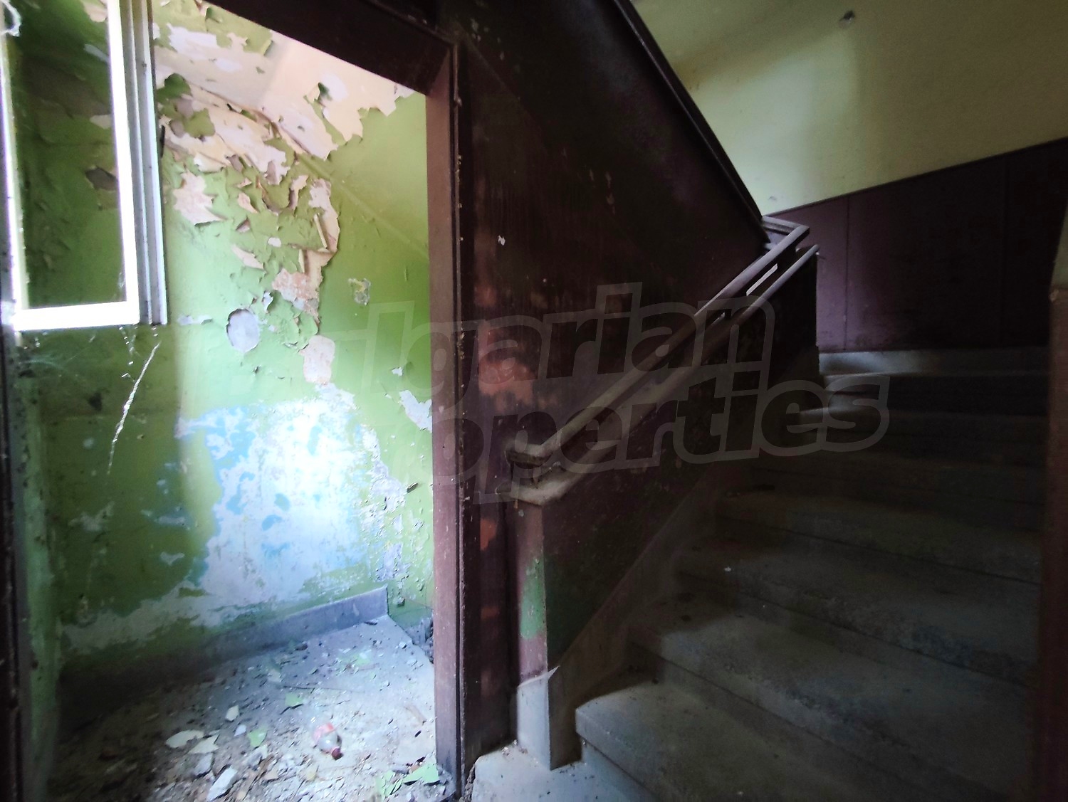 Gallery Picture 9